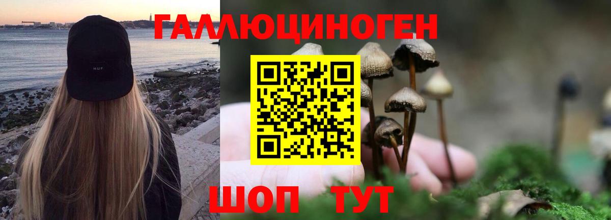 Галлюциногенные грибы ЛСД  купить закладку  Печора  Галлюциногенные грибы Magic Shrooms  Вход с VPN 